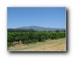 2009-08-06 Ventoux (16) look back